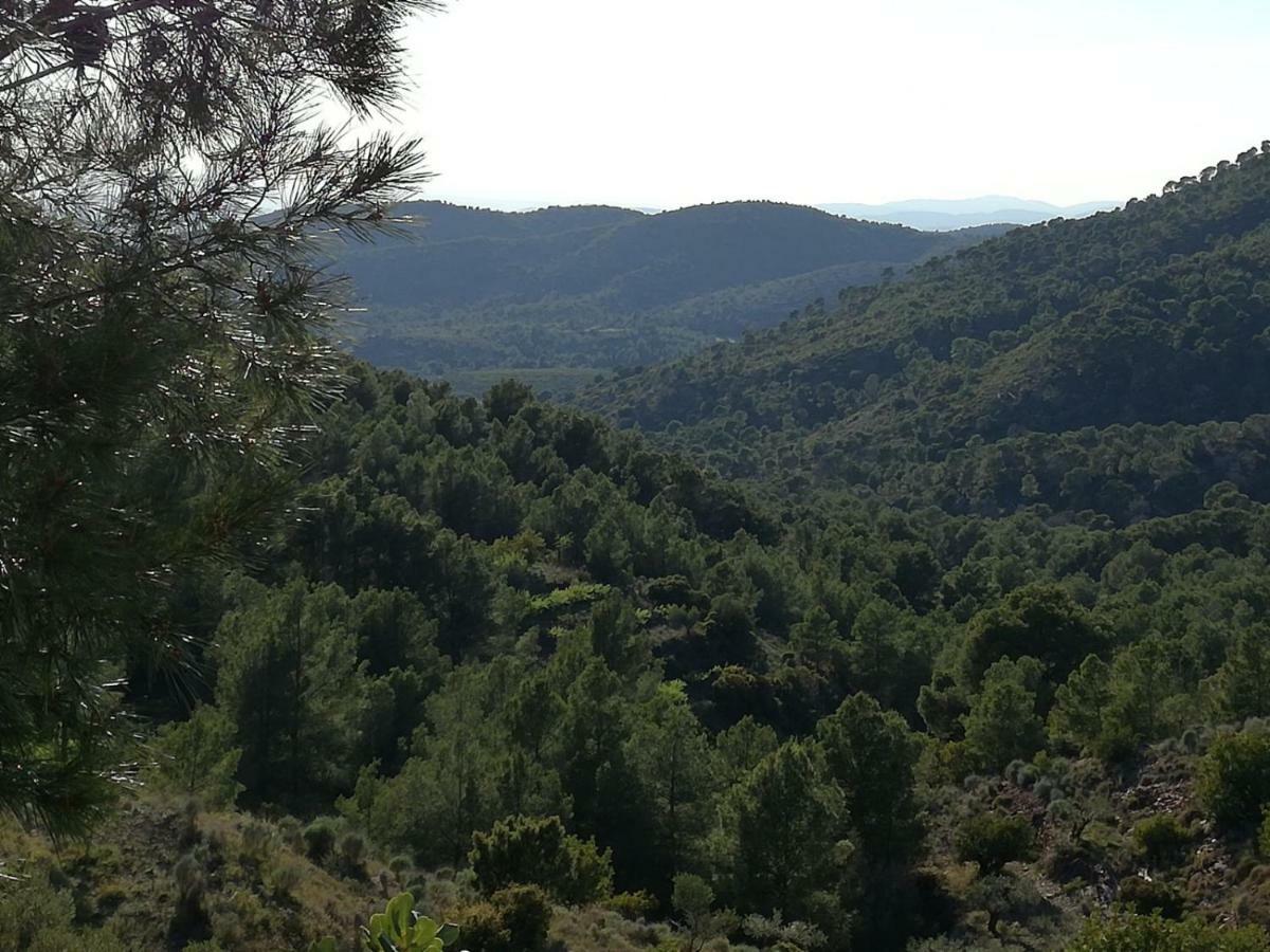 Serra Ca'Ls Avis旅馆 外观 照片